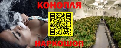индика Балашиха
