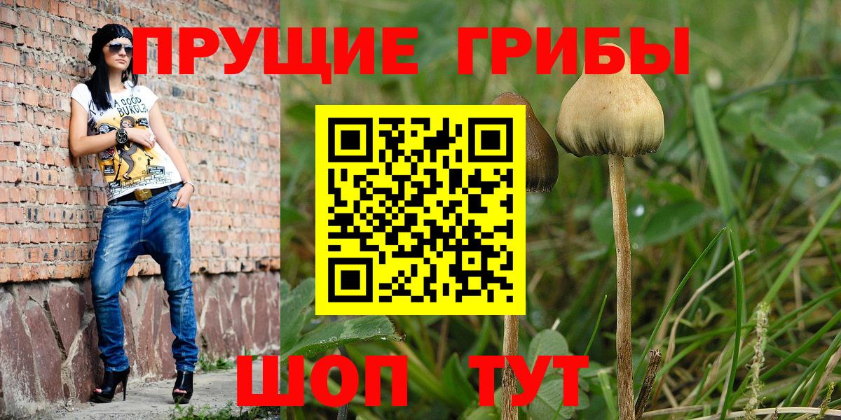 Галлюциногенные грибы прущие грибы  хочу   Псилоцибиновые грибы мицелий  Екатеринбург  Вход с VPN 