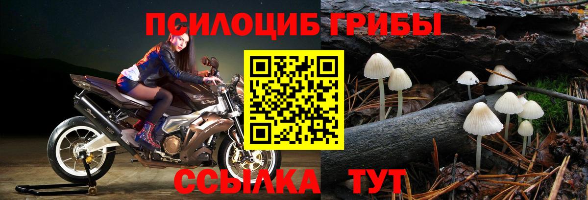 Галлюциногенные грибы Cubensis Екатеринбург